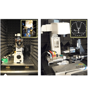 扫描离子电导显微镜-离子电流测量-AVI主动隔振台-降低环境噪声